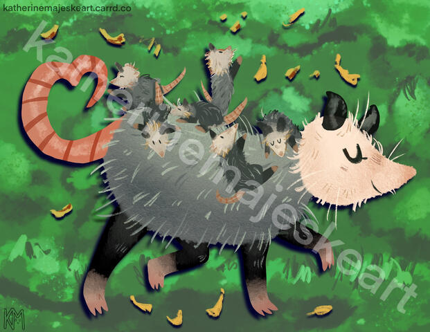 Mama Possum
